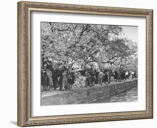 Crowds at the Cherry Blossom Festival-Thomas D^ Mcavoy-Framed Photographic Print