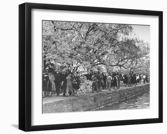 Crowds at the Cherry Blossom Festival-Thomas D^ Mcavoy-Framed Photographic Print