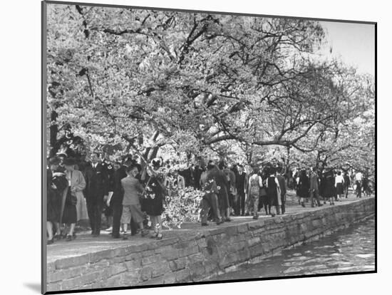 Crowds at the Cherry Blossom Festival-Thomas D^ Mcavoy-Mounted Photographic Print