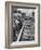 Crowds Checking Out Frozen Foods at the Us Exhibit, During the Poznan Fair-Lisa Larsen-Framed Photographic Print