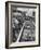 Crowds Checking Out Frozen Foods at the Us Exhibit, During the Poznan Fair-Lisa Larsen-Framed Photographic Print