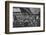 Crowds in Waterloo Station heading off to Ascot races, London, c1900 (1901)-Unknown-Framed Photographic Print