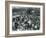 Crowds of Visitors at London Zoo, August Bank Holiday, 1922-Frederick William Bond-Framed Photographic Print