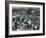 Crowds of Visitors at London Zoo, August Bank Holiday, 1922-Frederick William Bond-Framed Photographic Print