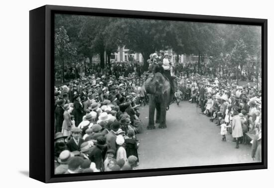 Crowds of Visitors Watch an Elephant Ride at London Zoo, August Bank Holiday,1922-Frederick William Bond-Framed Premier Image Canvas