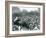 Crowds of Visitors Watch an Elephant Ride at London Zoo, August Bank Holiday, 1922-Frederick William Bond-Framed Photographic Print