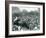 Crowds of Visitors Watch an Elephant Ride at London Zoo, August Bank Holiday, 1922-Frederick William Bond-Framed Photographic Print