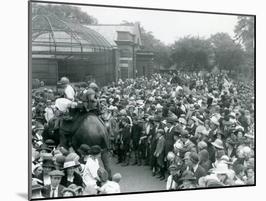 Crowds of Visitors Watch an Elephant Ride at London Zoo, August Bank Holiday, 1922-Frederick William Bond-Mounted Photographic Print