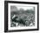 Crowds of Visitors Watch an Elephant Ride at London Zoo, August Bank Holiday, 1922-Frederick William Bond-Framed Photographic Print