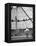 Crowds Watching a Circus Performer-Yale Joel-Framed Premier Image Canvas