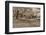 Crown Hill Cemetery, Indianapolis, Indiana-Rona Schwarz-Framed Photographic Print