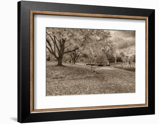 Crown Hill Cemetery, Indianapolis, Indiana-Rona Schwarz-Framed Photographic Print