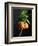 Crown Imperial-Clay Perry-Framed Photographic Print