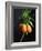 Crown Imperial-Clay Perry-Framed Photographic Print