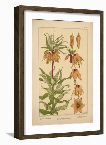 Crown Imperial-null-Framed Giclee Print