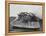 Crown of Thorns Worn by Actor in the King of Kings from Prop Collection of Cecil B. Demille-Ralph Crane-Framed Premier Image Canvas