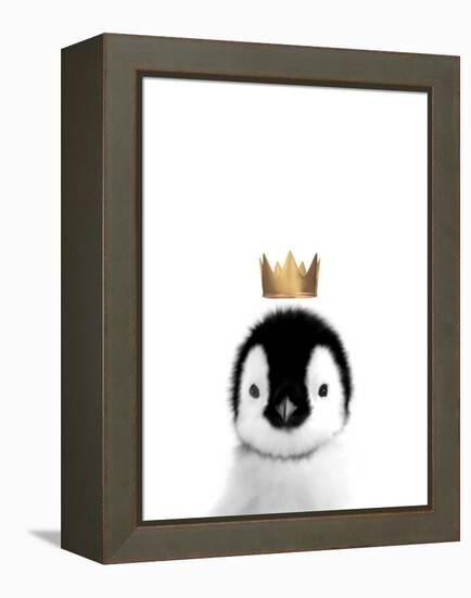 Crown Penguin-Leah Straatsma-Framed Stretched Canvas