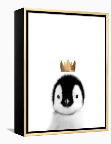 Crown Penguin-Leah Straatsma-Framed Stretched Canvas