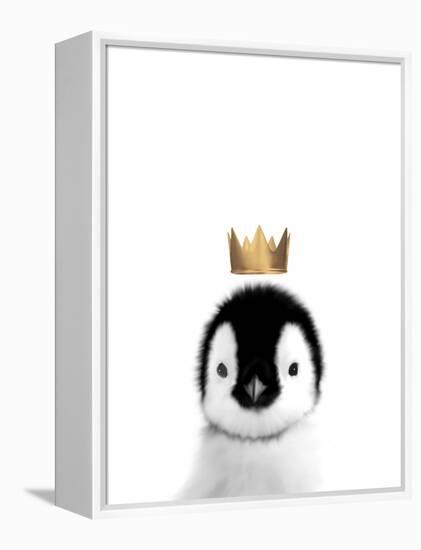 Crown Penguin-Leah Straatsma-Framed Stretched Canvas