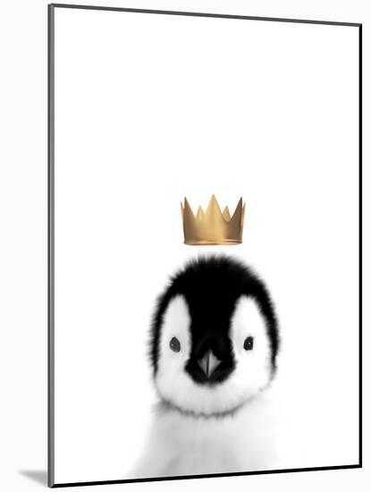 Crown Penguin-Leah Straatsma-Mounted Art Print