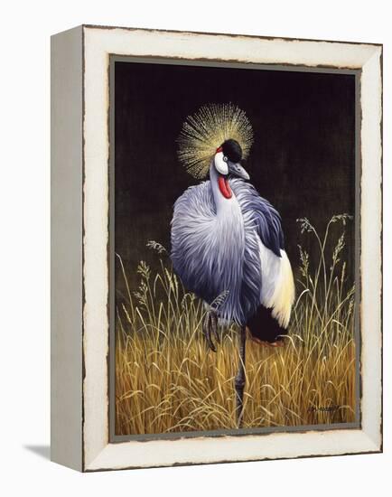 Crowned Crane-Harro Maass-Framed Premier Image Canvas