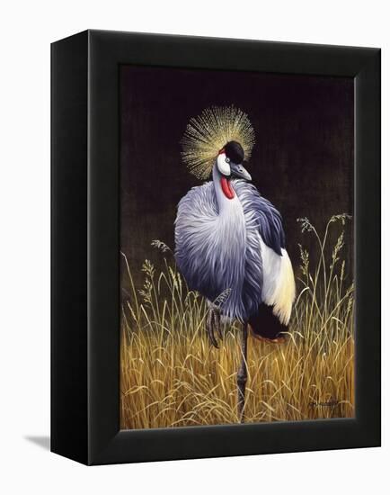 Crowned Crane-Harro Maass-Framed Premier Image Canvas