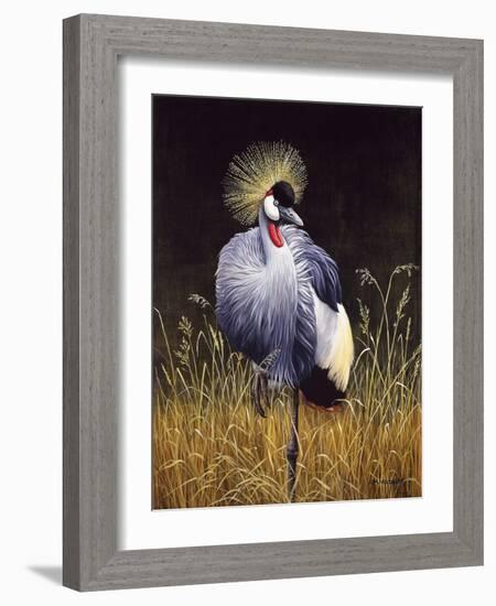 Crowned Crane-Harro Maass-Framed Giclee Print