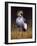 Crowned Crane-Harro Maass-Framed Giclee Print