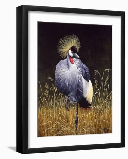 Crowned Crane-Harro Maass-Framed Giclee Print