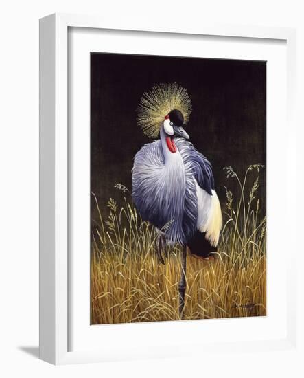 Crowned Crane-Harro Maass-Framed Giclee Print