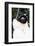 Crowned Verreaux's Sifaka (propithecus verreauxi coronatus), Nosy Iranja, northern area, Madagascar-Christian Kober-Framed Photographic Print