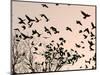 Crows Fly Over a Tree Where Others are Already Camped for the Night at Dusk in Bucharest Romania-null-Mounted Photographic Print