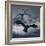 Crows Flying-AlienCat-Framed Art Print