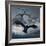 Crows Flying-AlienCat-Framed Art Print