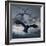 Crows Flying-AlienCat-Framed Art Print