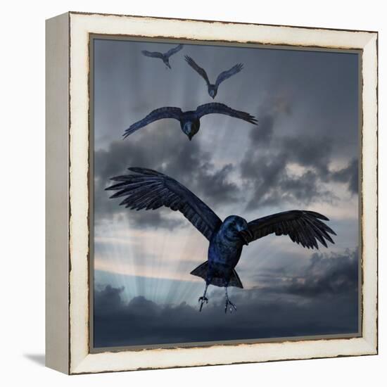 Crows Flying-AlienCat-Framed Stretched Canvas