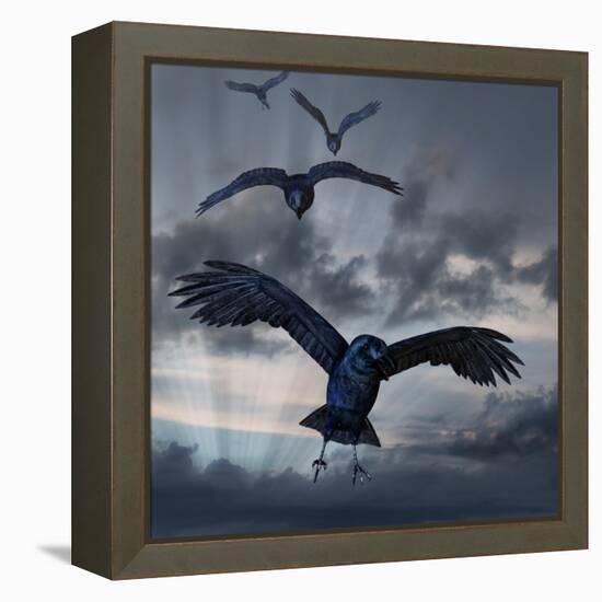 Crows Flying-AlienCat-Framed Stretched Canvas