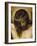 Crucified Christ (Detail of the Head), Cristo Crucificado-Diego Velazquez-Framed Giclee Print