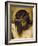 Crucified Christ (Detail of the Head), Cristo Crucificado-Diego Velazquez-Framed Giclee Print