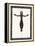 Crucifix, 1919-Eric Gill-Framed Premier Image Canvas