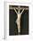 Crucifix en ivoire sur fond de velours, dans un cadre-null-Framed Giclee Print