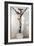 Crucifix-Giovanni Pisano-Framed Giclee Print