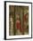 Crucifixion, Madonna Enthroned and Saints, Detail from Right Chapel Altarpiece-null-Framed Giclee Print