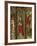 Crucifixion, Madonna Enthroned and Saints, Detail from Right Chapel Altarpiece-null-Framed Giclee Print