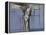 Crucifixion-Graham Sutherland-Framed Premier Image Canvas