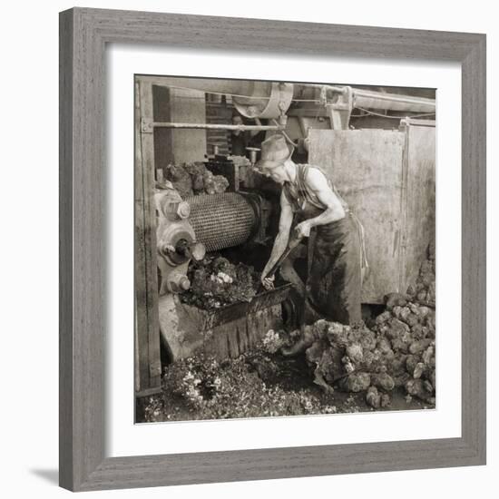 Crude Rubber from Brazil in a Rubber Cracking Machine, Goodyear Tire Factory, Akron, Ohio, 1928-null-Framed Photo