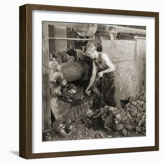 Crude Rubber from Brazil in a Rubber Cracking Machine, Goodyear Tire Factory, Akron, Ohio, 1928-null-Framed Photo