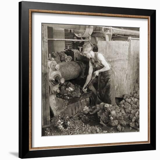 Crude Rubber from Brazil in a Rubber Cracking Machine, Goodyear Tire Factory, Akron, Ohio, 1928-null-Framed Photo