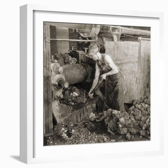 Crude Rubber from Brazil in a Rubber Cracking Machine, Goodyear Tire Factory, Akron, Ohio, 1928-null-Framed Photo