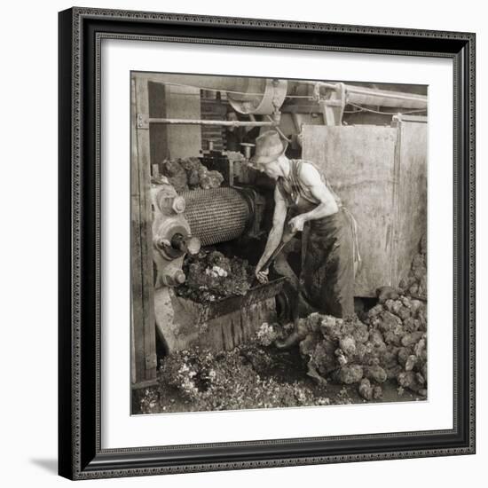 Crude Rubber from Brazil in a Rubber Cracking Machine, Goodyear Tire Factory, Akron, Ohio, 1928-null-Framed Photo